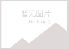 铜川字迹能源有限公司